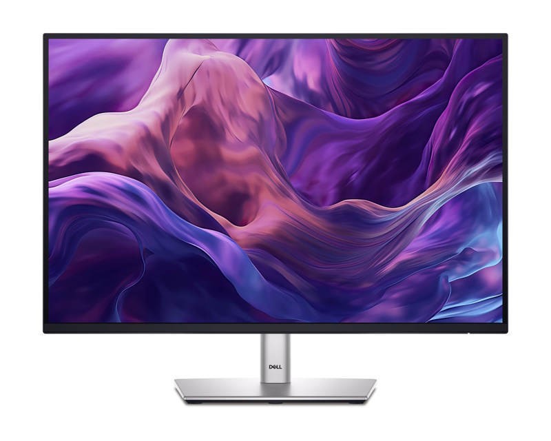 24 inch P2425 100Hz Professional IPS monitor